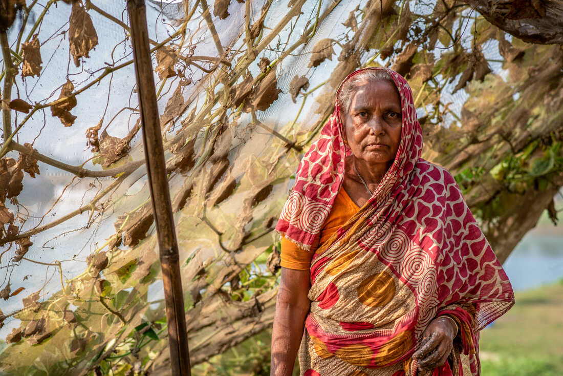 Portrait of Majida Begum, 60, whose kitchen was washed away in the floods in June 2022  is at Tahirpur Upazilla, Sunamganj in Bangladesh.